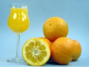 酸橙Sour orange