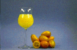 金柑类Kumquats
