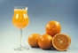 宽皮柑橘类Mandarins