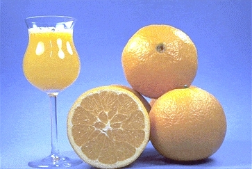 甜橙Sweet oranges