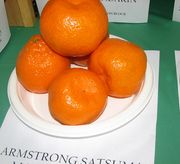 armstrong