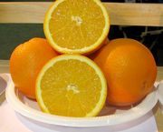 ‘阿特伍德’脐橙'Atwood' navel orange