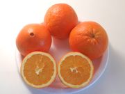 '奈维林娜’脐橙'Navelina' navel orange