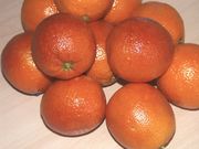 '马耳他'浅色血橙'Maltaise Sanguine' light blood orange