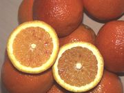 '马耳他'浅色血橙'Maltaise Sanguine' light blood orange