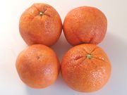 ‘桑吉耐洛’血橙'Sanguinello' blood orange