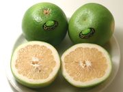 Citrus paradisi x grandis 'Jaffa Sweetie'