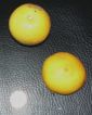 '雪柠檬'Snow lemon