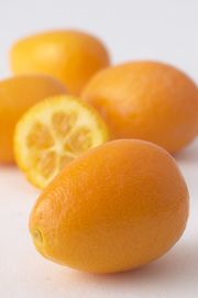 '澳洲日升'莱姆 Australian Sunrise Lime © CSIRO Plant Industry
