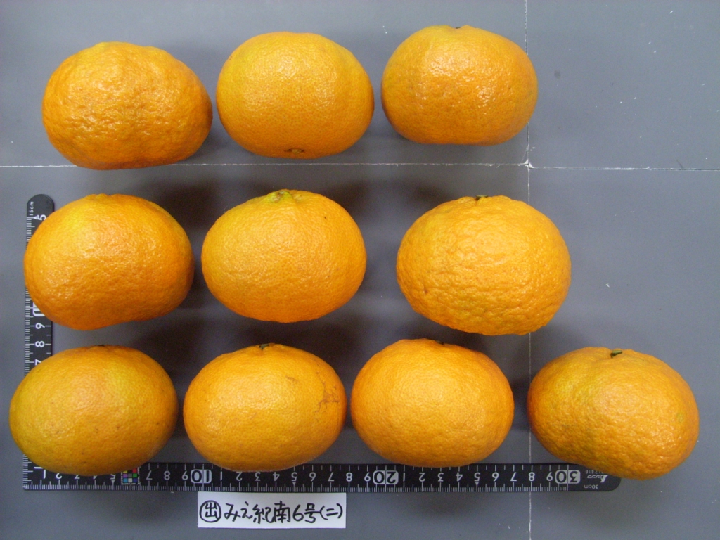 果实 (MAFF, Japan)