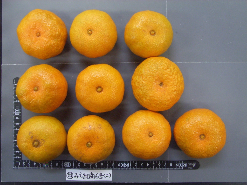 果实 (MAFF, Japan)
