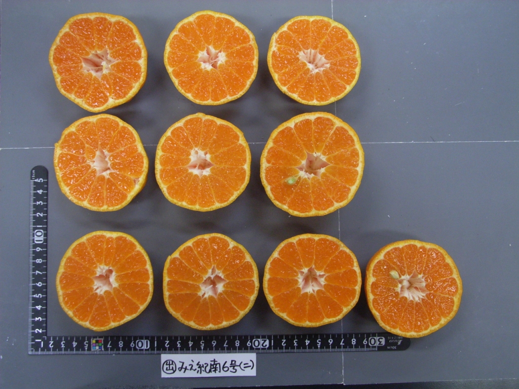 果实 (MAFF, Japan)