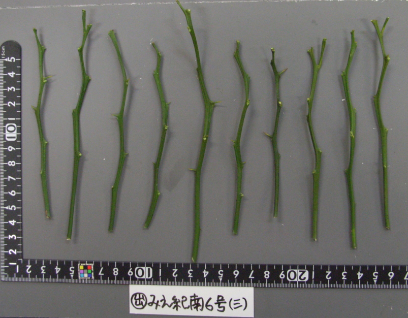 果实 (MAFF, Japan)