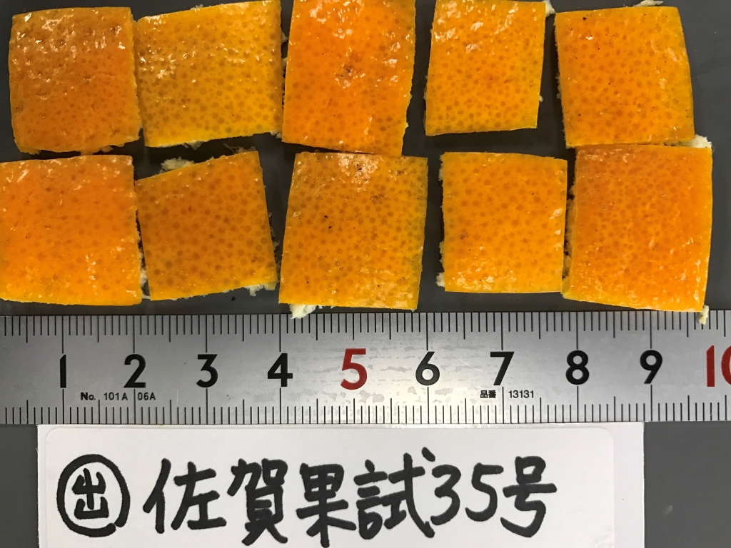果实 (MAFF, Japan)