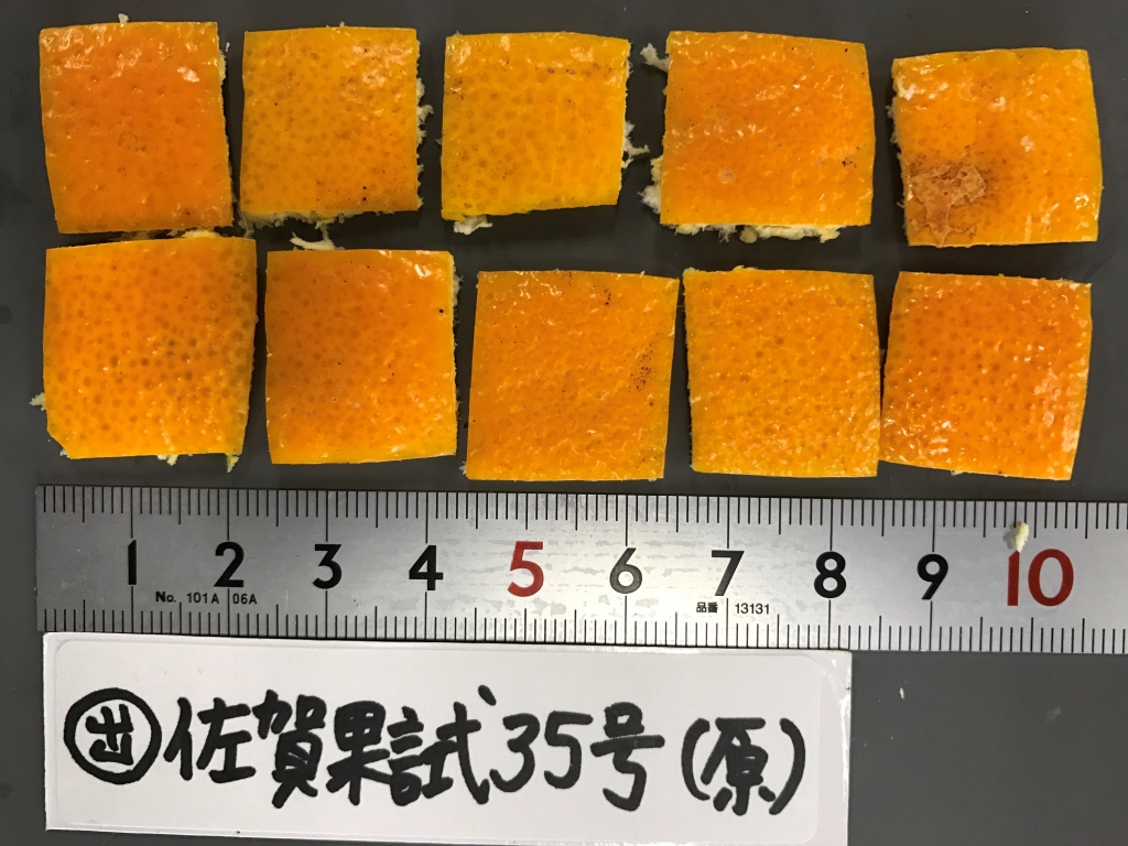 树体 (MAFF, Japan)