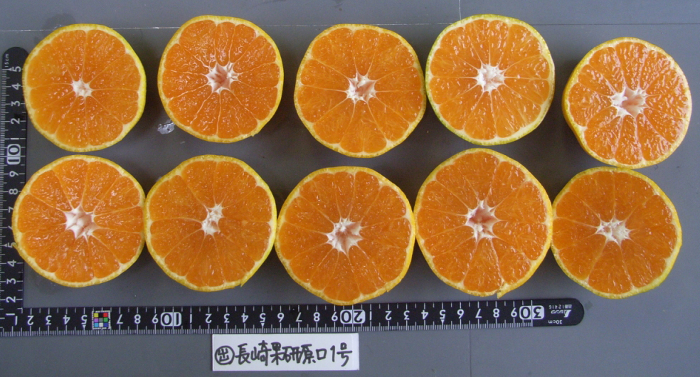 果实 (MAFF, Japan)