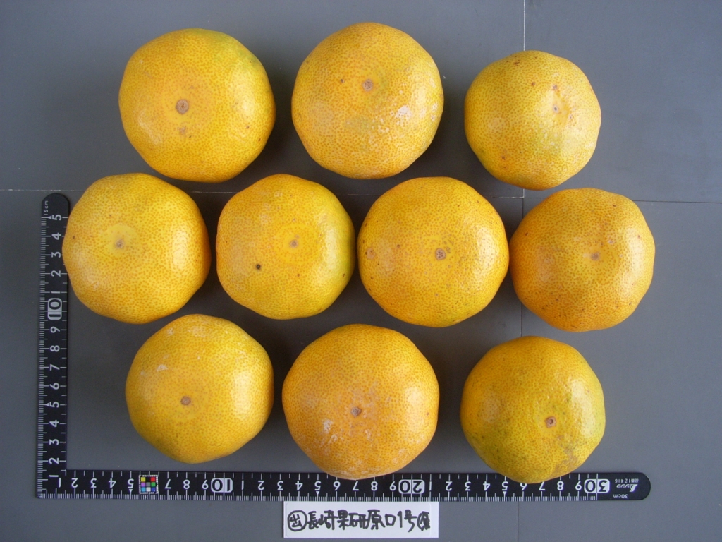 果实 (MAFF, Japan)