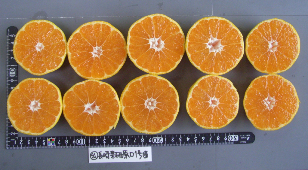 果实 (MAFF, Japan)