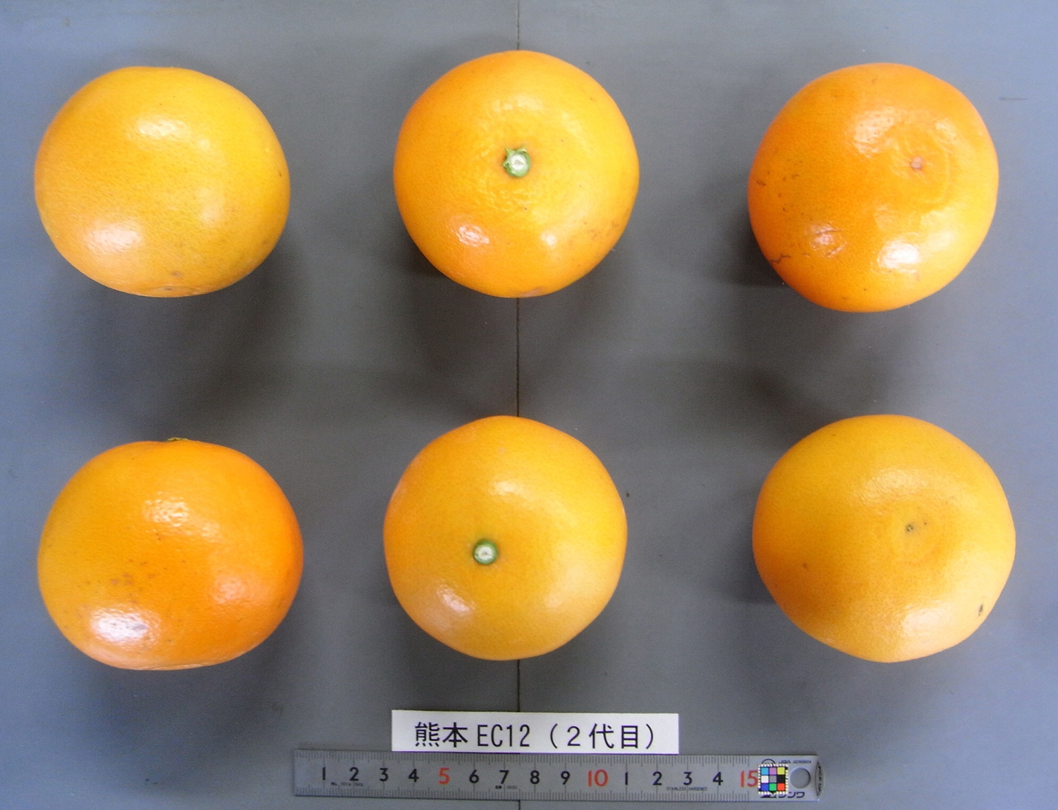 果实 (MAFF, Japan)