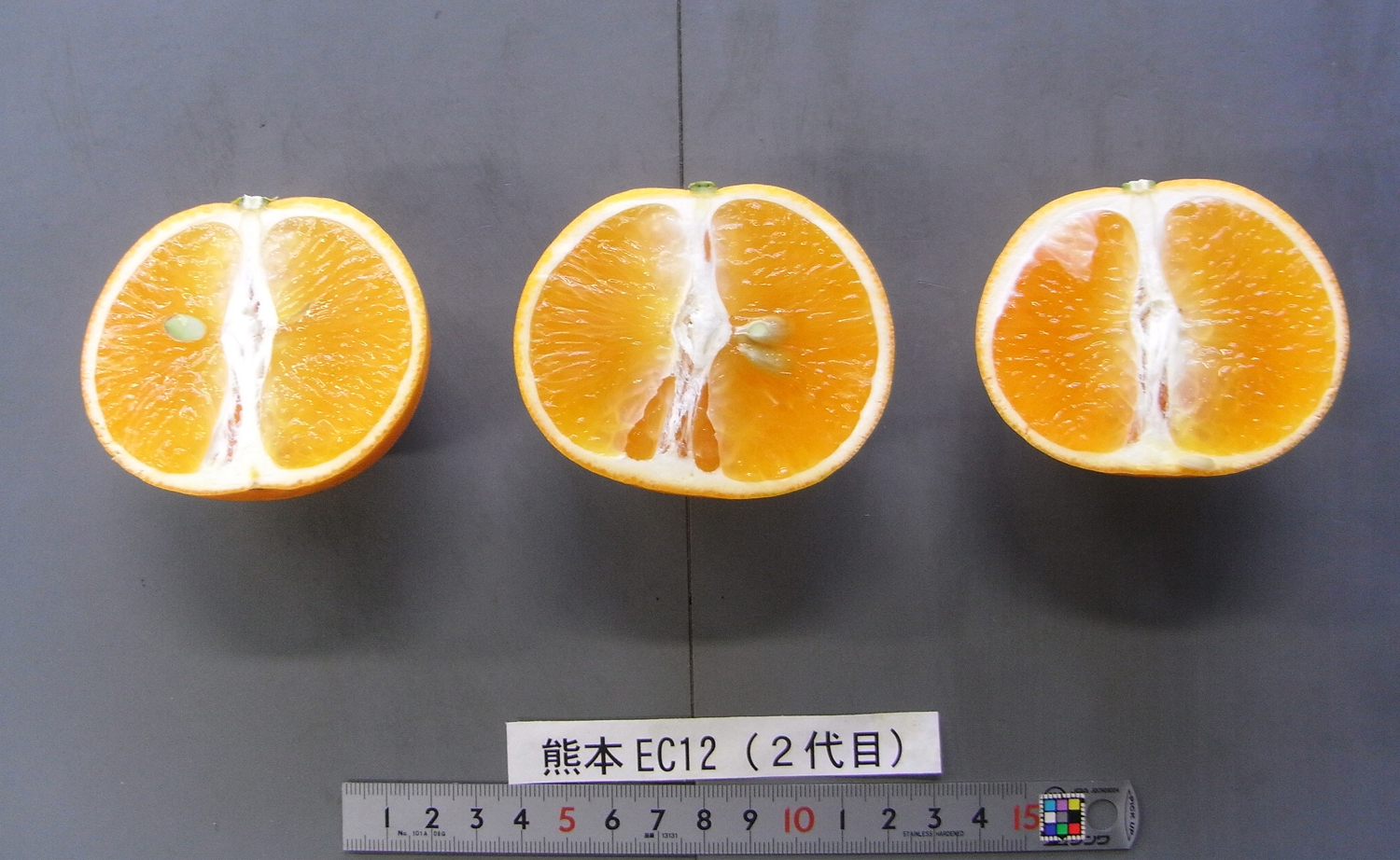 果实 (MAFF, Japan)