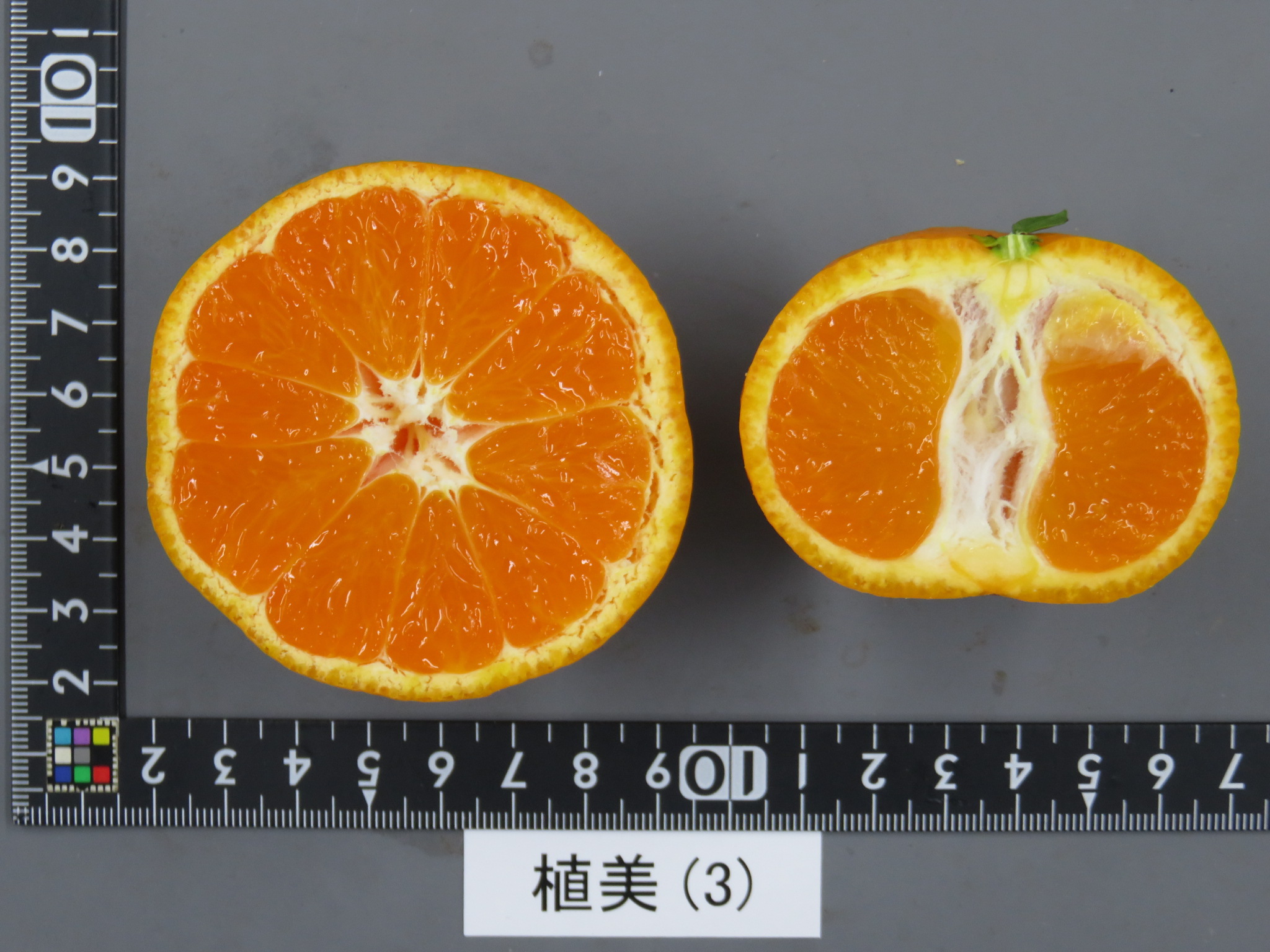 果实 (MAFF, Japan)