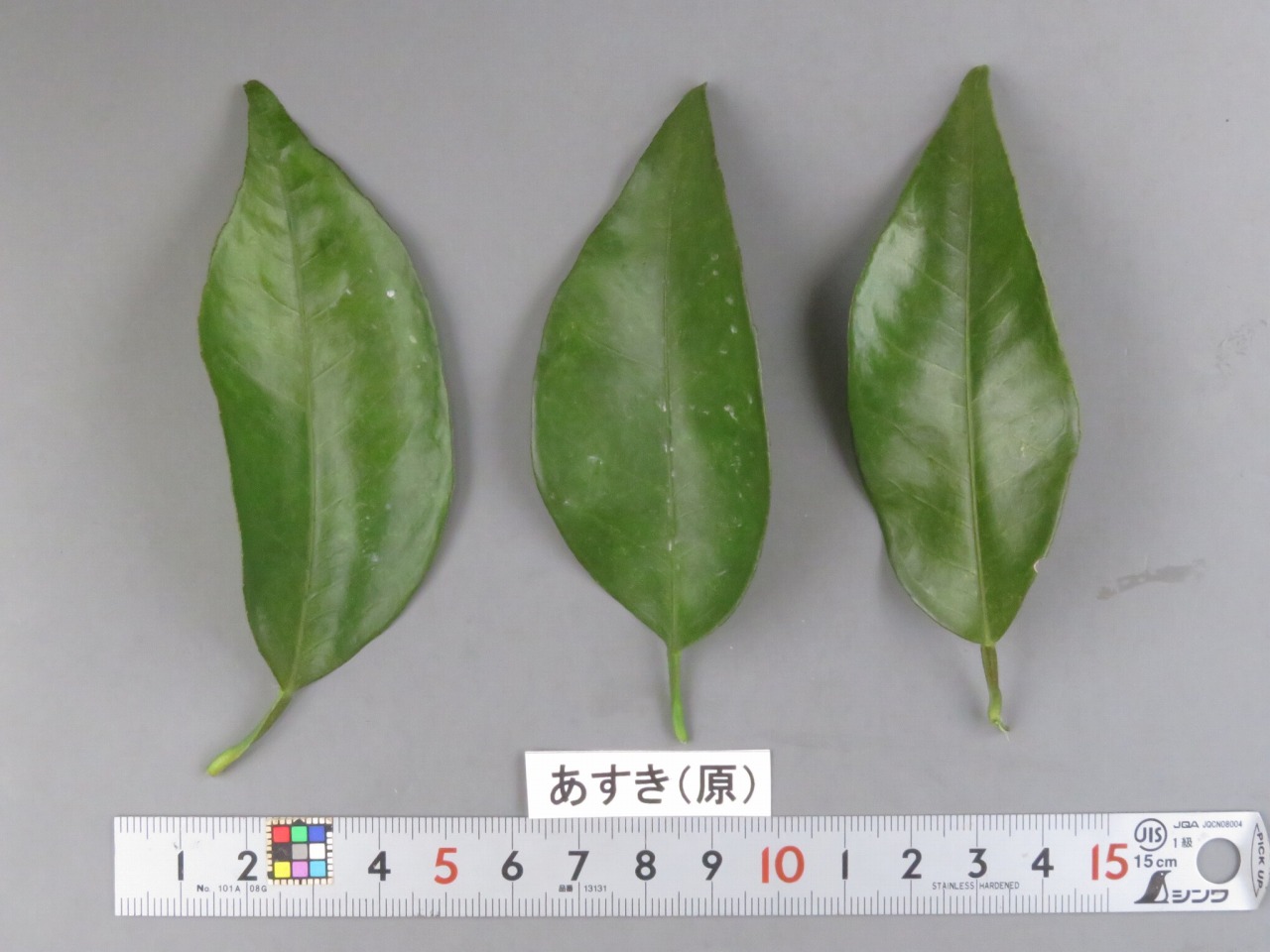 果实 (MAFF, Japan)