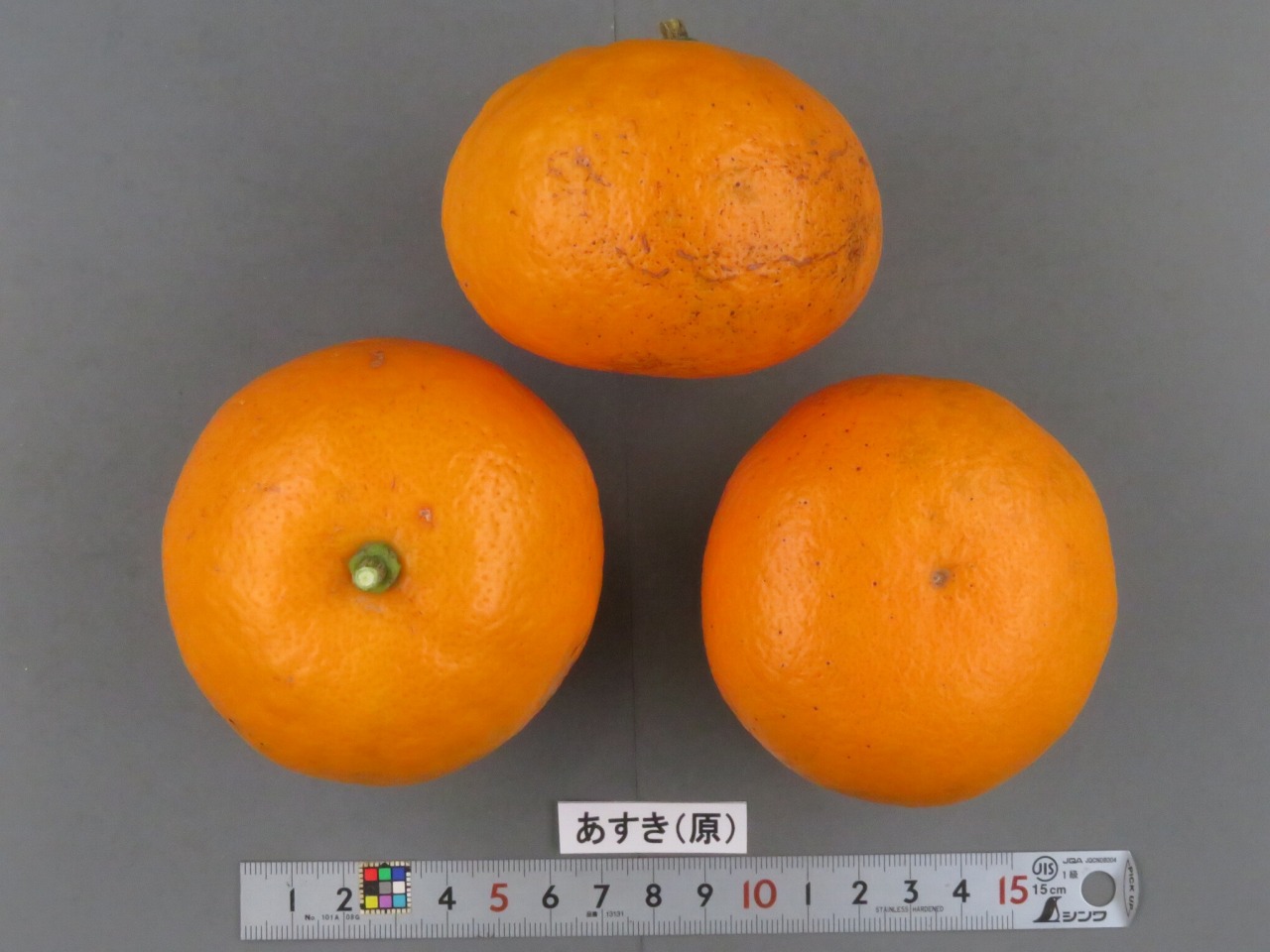 果实 (MAFF, Japan)