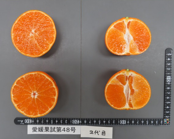 果实 (MAFF, Japan)